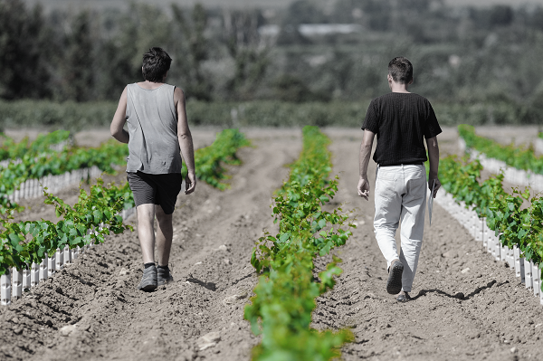 Seguimiento de la plantación