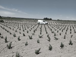 Plantation Mercier - Muscadet - Traditionnel