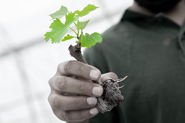 Nos engagements environnementaux