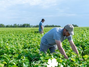 Toutes nos pépinières de la gamme ɅLTIS ont été inspectées minutieusement par nos équipes. Malgré les conditions météo, nos équipes sont parvenues à contenir...