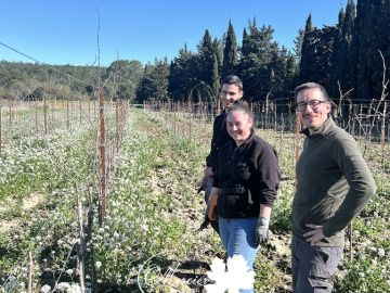 Pour nos techniciens du Sud, c’est l’année de la taille de formation des plants. Mi-mars, trois des techniciens du Sud, Matilde, Estelle et Guillaume ont été...