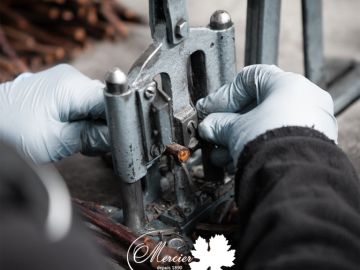 C'est parti pour le greffage ! Cette opération consiste à assembler le greffon (la variété) et le porte-greffe (adaptation au terroir). Un greffage de...