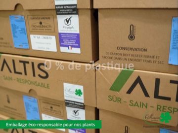 Emballage éco-responsable pour nos plants ALTIS